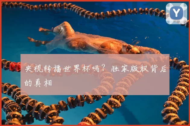 央视转播世界杯吗?独家版权背后的真相