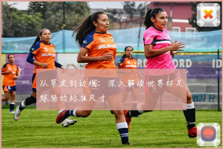 从草皮到边线：深入解读世界杯足球场的标准尺寸
