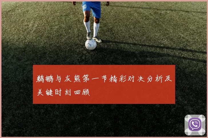 鹈鹕与灰熊第一节精彩对决分析及关键时刻回顾
