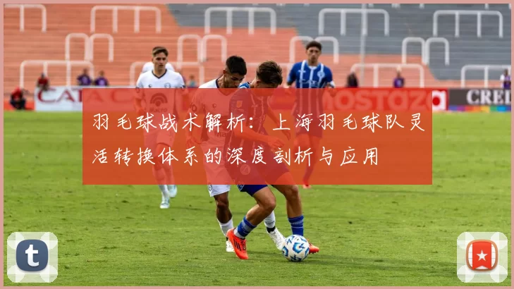 羽毛球战术解析:上海羽毛球队灵活转换体系的深度剖析与应用