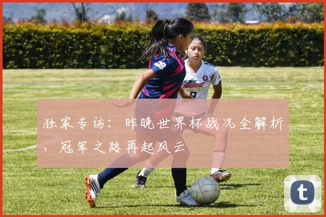 独家专访:昨晚世界杯战况全解析,冠军之路再起风云