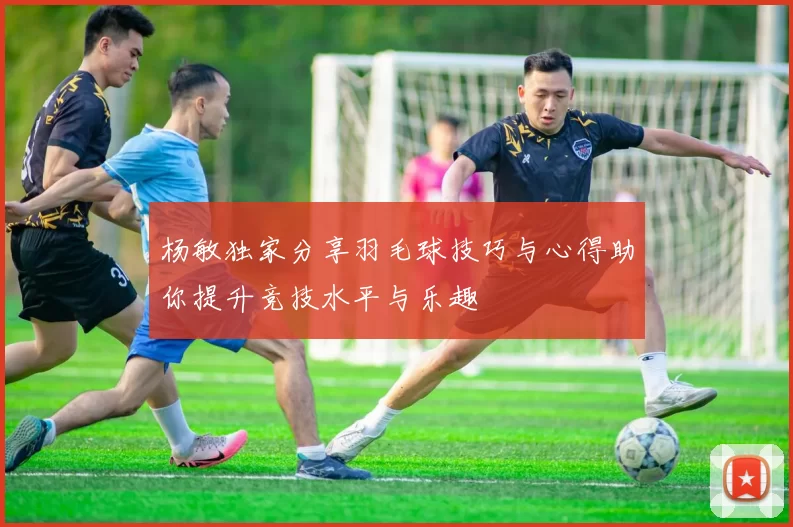 杨敏独家分享羽毛球技巧与心得助你提升竞技水平与乐趣