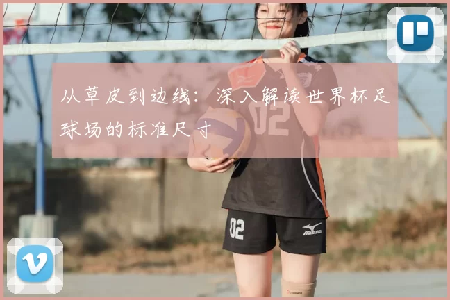 从草皮到边线:深入解读世界杯足球场的标准尺寸