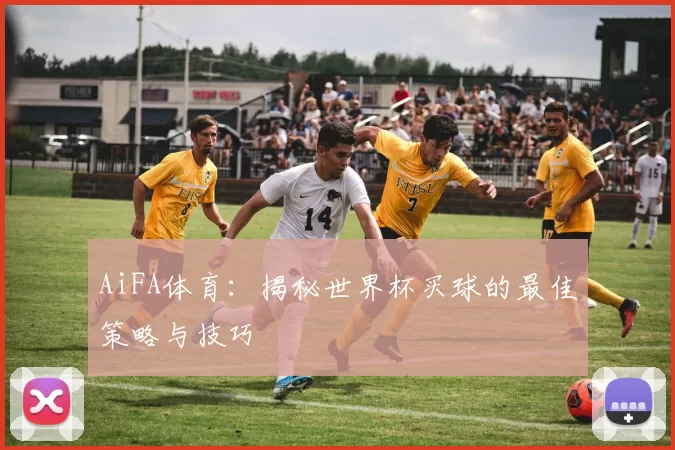 AiFA体育：揭秘世界杯买球的最佳策略与技巧