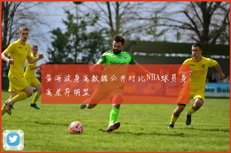 黄海波身高数据公开对比NBA球员身高差异明显