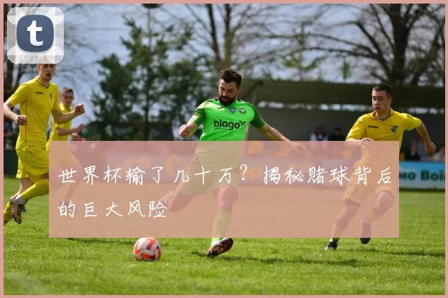 世界杯输了几十万?揭秘赌球背后的巨大风险
