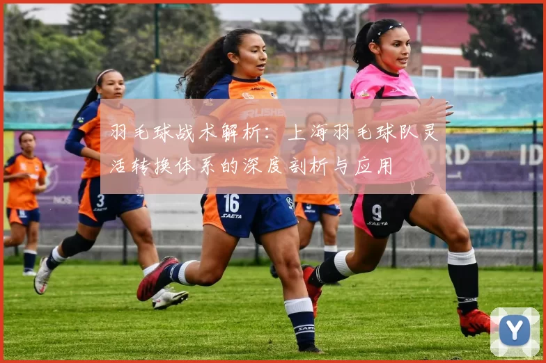 羽毛球战术解析:上海羽毛球队灵活转换体系的深度剖析与应用