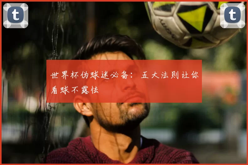 世界杯伪球迷必备:五大法则让你看球不露怯